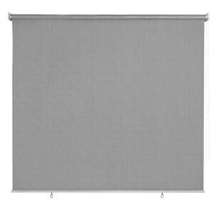 cicada speech outdoor roller shade roll up shade cloth patio blinds for deck porch balcony backyard (8′ w x 8′ l), gray