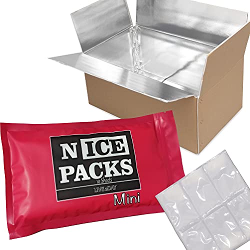 Live 2day Insulated Shipping Box with Dry Ice Packs | for Shipping Fresh Food | for Coolers and Lunch Bags