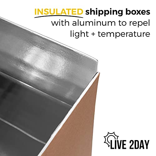 Live 2day Insulated Shipping Box with Dry Ice Packs | for Shipping Fresh Food | for Coolers and Lunch Bags