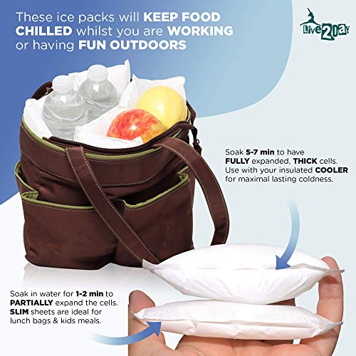 Live 2day Insulated Shipping Box with Dry Ice Packs | for Shipping Fresh Food | for Coolers and Lunch Bags