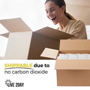 Live 2day Insulated Shipping Box with Dry Ice Packs | for Shipping Fresh Food | for Coolers and Lunch Bags