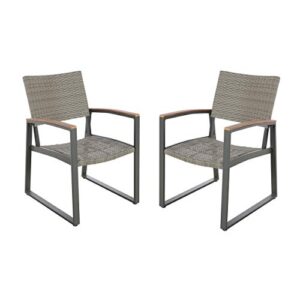 christopher knight home aubrey outdoor dining chairs (set of 2), gray