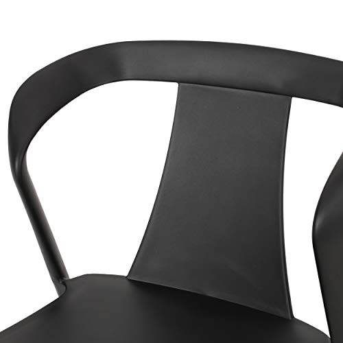 Christopher Knight Home Ianthe Outdoor Dining Chair (Set of 2), Black