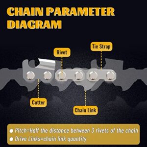 ZENTOP Chainsaw Chain 16-Inch 3 Pack 3/8" LP Pitch .043" Gauge 56 Drive Links Wood Cutting Saw Chain for Chainsaw Parts fits Craftsman, Echo, Homelite, Poulan, Remington