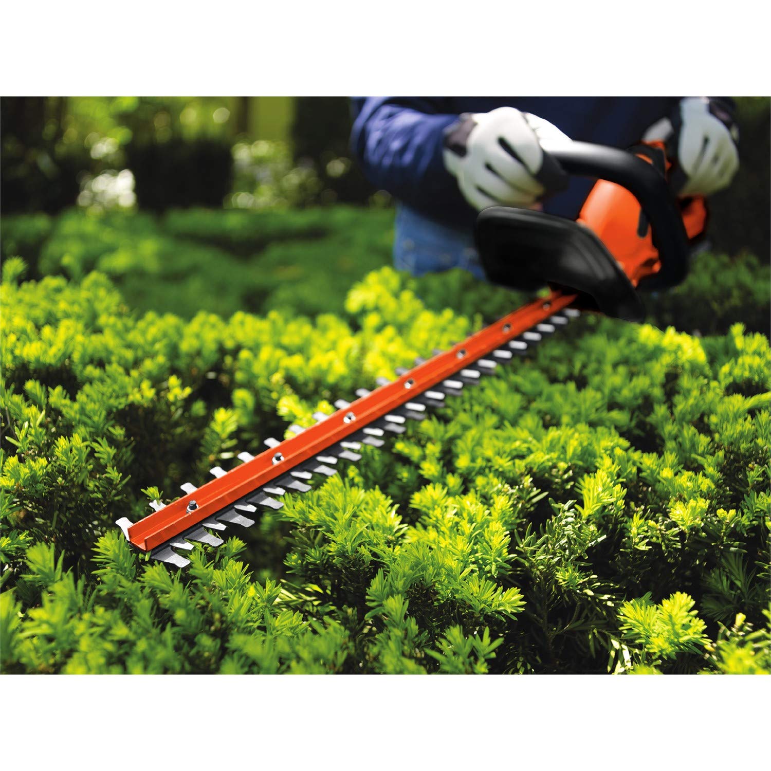 BLACK+DECKER 20V MAX Cordless Hedge Trimmer, 22 Inch Steel Blade, Reduced Vibration, Battery and Charger Included (LHT2220), Orange