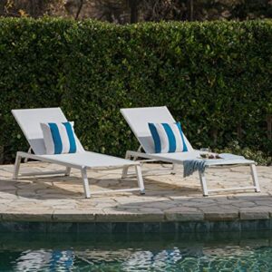 Christopher Knight Home Belle Outdoor Mesh Chaise Lounges, 2-Pcs Set, White Mesh / White