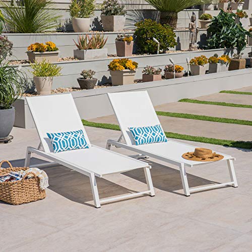 2-Piece White Contemporary Aluminum Outdoor Furniture Patio Lounger Set