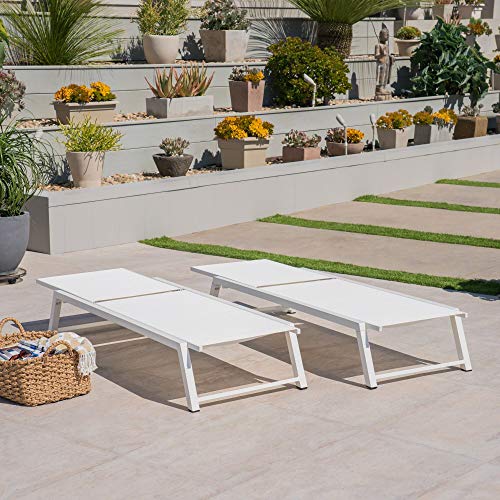 2-Piece White Contemporary Aluminum Outdoor Furniture Patio Lounger Set