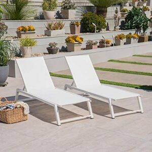 2-Piece White Contemporary Aluminum Outdoor Furniture Patio Lounger Set