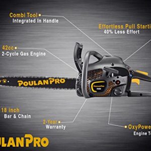 Poulan Pro PR4218, 18 in. 42cc 2-Cycle Gas Chainsaw, Case Included