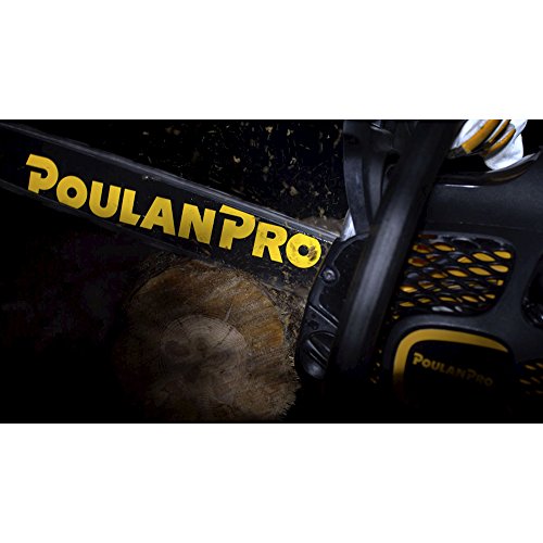 Poulan Pro PR4218, 18 in. 42cc 2-Cycle Gas Chainsaw, Case Included