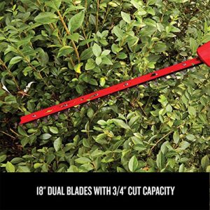 CRAFTSMAN V20 Cordless Pole Hedge Trimmer, 18-Inch, Extended Reach, Battery and Charger Included (CMCPHT818D1)