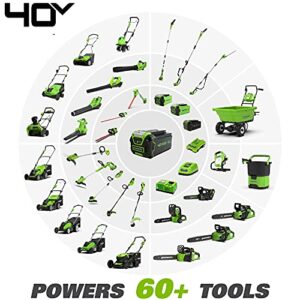 Greenworks 40V 20" Cordless Pole Hedge Trimmer, 2.0Ah Battery and Charger Included