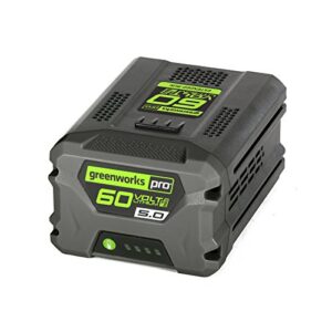 greenworks pro 60-volt max-volt 5-amp hours rechargeable lithium ion (li-ion) cordless power equipment battery