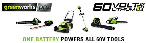 Greenworks Pro 60-Volt Max-Volt 5-Amp Hours Rechargeable Lithium Ion (Li-ion) Cordless Power Equipment Battery