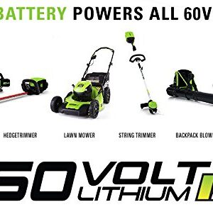 Greenworks Pro 60-Volt Max-Volt 5-Amp Hours Rechargeable Lithium Ion (Li-ion) Cordless Power Equipment Battery