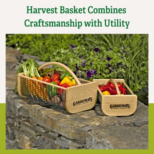 Gardeners Supply Company Large Garden Hod Harvest Basket | Versatile Gardening Fruits & Vegetables Gathering Basket | Natural Smooth Pine - Maple Frame & Coated Mesh | Easy to use - 9"L x 11"W x 11"H