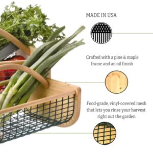 Gardeners Supply Company Large Garden Hod Harvest Basket | Versatile Gardening Fruits & Vegetables Gathering Basket | Natural Smooth Pine - Maple Frame & Coated Mesh | Easy to use - 9"L x 11"W x 11"H