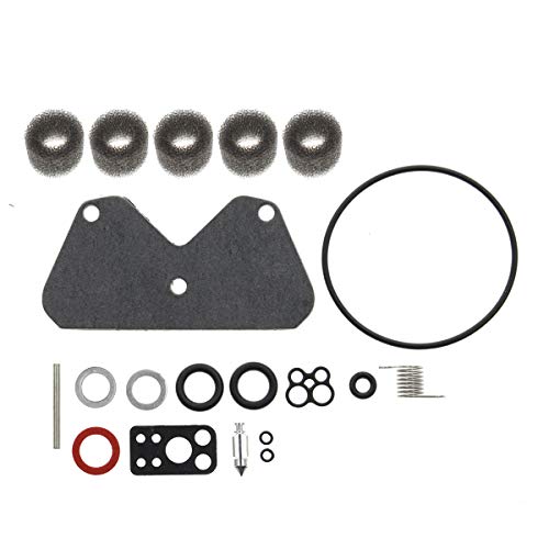 AUTOKAY Carburetor Overhaul Carb Rebuild Kit 406777 407777 405777 for Briggs and Stratton 40H700 446700 442577 445777 446777 405777 407677 407677 44677A Vertical Engine Riding Lawn Mower