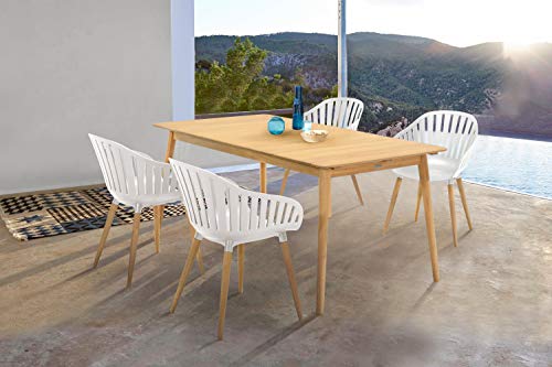 Armen Living Nassau Outdoor Patio Arm Dining Chairs, 17" Seat Height, Set of 2, Eucalyptus and Sand Taupe