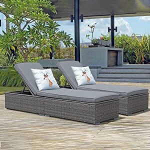 JOIVI Outdoor Chaise Lounge Chair, Patio Pool Lounge Chairs for Outside, Rattan Reclining Chaise Lounger with Adjustable Backrest and Removable Cushion, Gray PE Wicker (Set of 2)