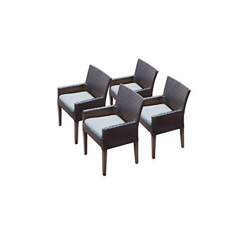 TK Classics Barbados Dining Chair with Arms and Cushion in Spa (Set of 4)