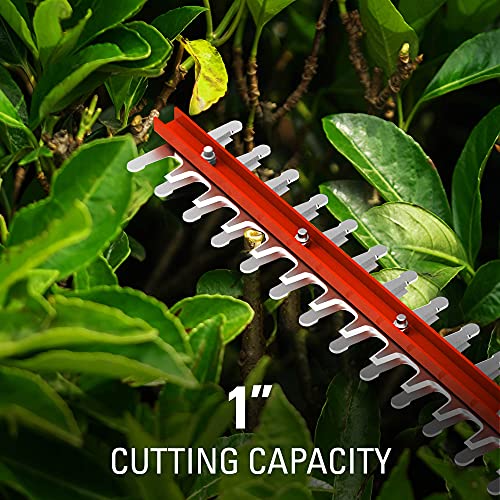 Greenworks 40V 24" Cordless Hedge Trimmer (1" Cutting Capacity), 2.0Ah USB Battery and Charger Included