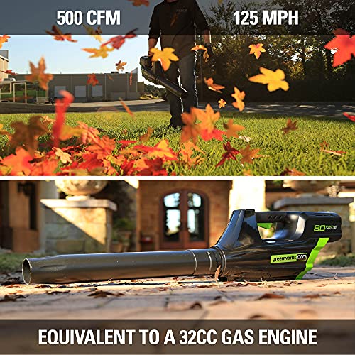 Greenworks Pro 80V Cordless Brushless String Trimmer + Leaf Blower Combo, 2Ah Battery and Charger Included STBA80L210