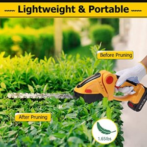 Cordless Grass Shear & Hedge Trimmer, 2 in 1 Handheld Shrubbery Trimmer Electric Grass Cutter, Lightweight Hedge Clipper with Rechargeable Battery and Charger for Garden and Lawn