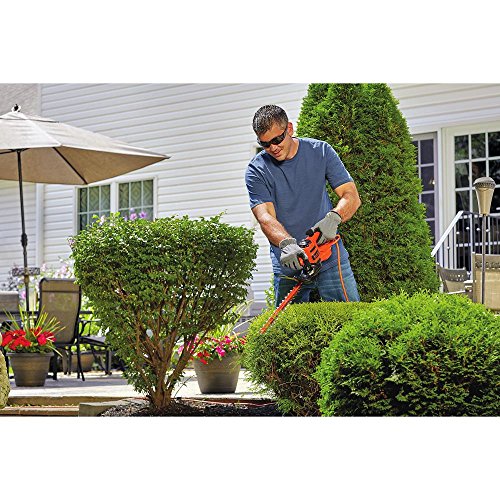 BLACK+DECKER BEHT150 Hedge Trimmer & String Trimmer with Auto Feed, Electric, 6.5-Amp, 14-Inch (BESTA510)