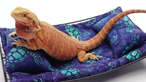 chaise lounge for bearded dragons, sea turtles fabric