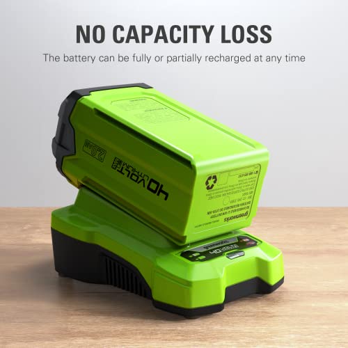 Greenworks 40V 2.0Ah Lithium-Ion Battery (Genuine Greenworks Battery)