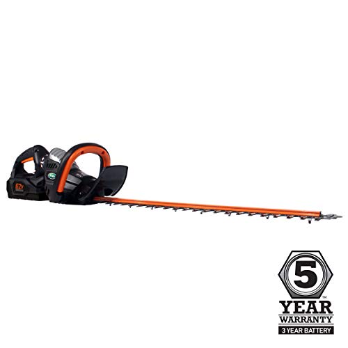 Scotts Outdoor Power Tools LHT12462S 62-Volt 24-Inch Cordless Hedge Trimmer, 2.5Ah Battery & Fast Charger Included
