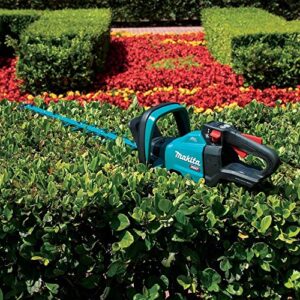 40V max XGT® Brushless Cordless 30" Hedge Trimmer, Tool Only