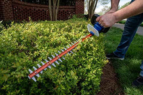 Wild Badger Power Cordless 22-inch Hedge Trimmer, 20 Volt, Tool Only