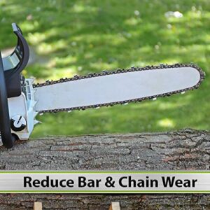 Premium Bar and Chain Oil, Tools and Chainsaw Oil Treatment Reduces Bar and Chain Wear, 32 Oz, STP