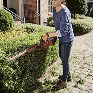 Husqvarna 115iHD55 Cordless Electric Hedge Trimmers, Orange/Gray (TOOL ONLY- battery / charger NOT included)