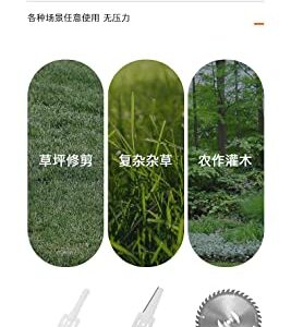 Sung Kim Folding Agricultural Multi-Functional Small Household of Lithium Battery Weeding Trimmer (21VD-Digital Display Type with one Battery)