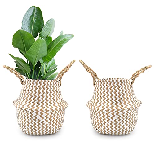 Nicunom 2 Pack Seagrass Belly Basket White Zigzag Pattern, 11 Inch Foldable Hand Woven Plant Basket with Handles, Storage Laundry, Picnic, Beach Bag, Plant Pot Cover for Home Decor