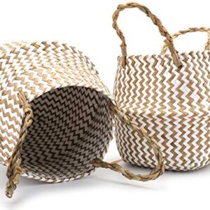 Nicunom 2 Pack Seagrass Belly Basket White Zigzag Pattern, 11 Inch Foldable Hand Woven Plant Basket with Handles, Storage Laundry, Picnic, Beach Bag, Plant Pot Cover for Home Decor