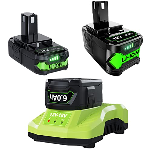 2Pack 18V Battery and Charger for Ryobi Lithium-ion 3.0Ah+6.0Ah P102 Battery Replacement and P117 Charger Compatible with Ryobi 18Volt ONE+ Plus P102 P107 P108 P189 Battery and 260051002 P118 Charger
