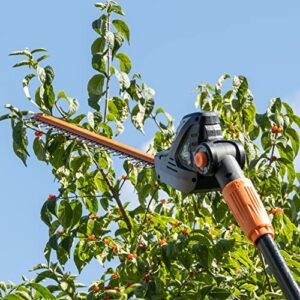 Scotts LPHT12122S 20-Volt 22-Inch Cordless Pole Hedge Trimmer, 2.0Ah Battery and Fast Charger Included