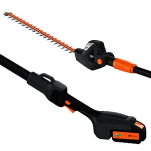 Scotts LPHT12122S 20-Volt 22-Inch Cordless Pole Hedge Trimmer, 2.0Ah Battery and Fast Charger Included