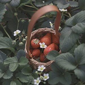 Homeriy Durable and Portable Rattan Basket Outdoor Hanging Basket for Girl Rattan Handwoven Basket with Handle for Candy Fruit Home Garden Decor Photography, 1993544/120006AM47USMNH