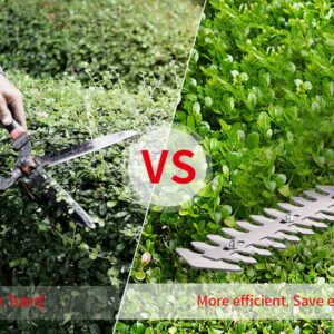 PULITUO Cordless Hedge + Grass Trimmer 2-in-1, Electric Power Bush Shrub Trimmer with 2 Pcs 2000mAh/12V Battery, 1-Hour Fast Charger