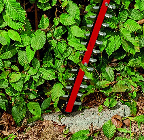 Einhell Arcurra Hedge Raker, Tool Only (Battery and Charger Not Included)