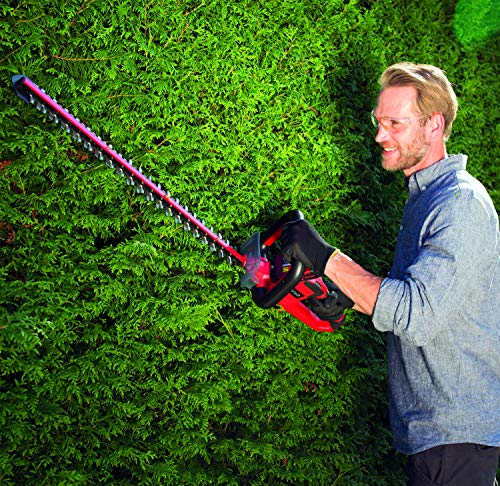 Einhell Arcurra Hedge Raker, Tool Only (Battery and Charger Not Included)