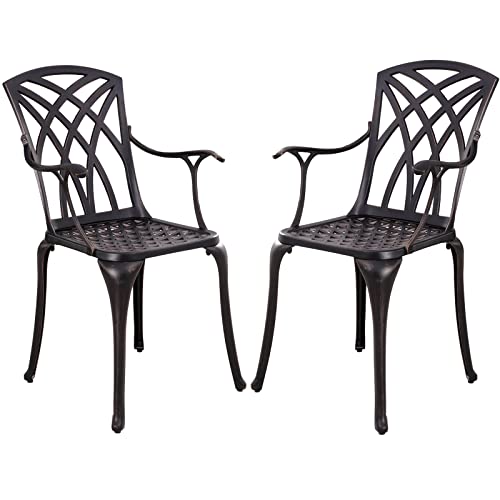 Withniture Cast Aluminum Patio Chairs All Weather Outdoor Dining Chairs Set of 2 with Armrest, Metal Patio Dining Chair for Garden Deck Backyard, Antique Bronze