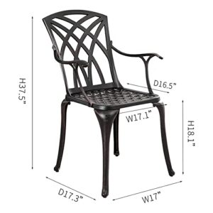 Withniture Cast Aluminum Patio Chairs All Weather Outdoor Dining Chairs Set of 2 with Armrest, Metal Patio Dining Chair for Garden Deck Backyard, Antique Bronze