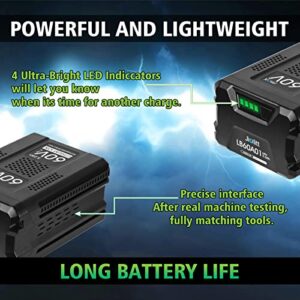 Jialitt 60V 5.0Ah Replacement for Greenworks Pro 60V Battery Max Lithium Ion LB60A00 LB60A01 LB60A02 LB60A03(Not for Kobalt&Powerworks)